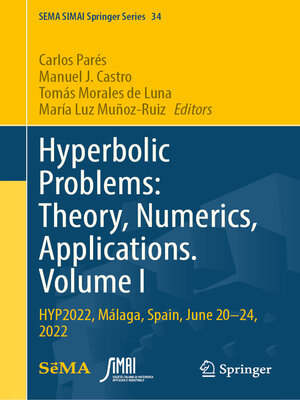cover image of Hyperbolic Problems
